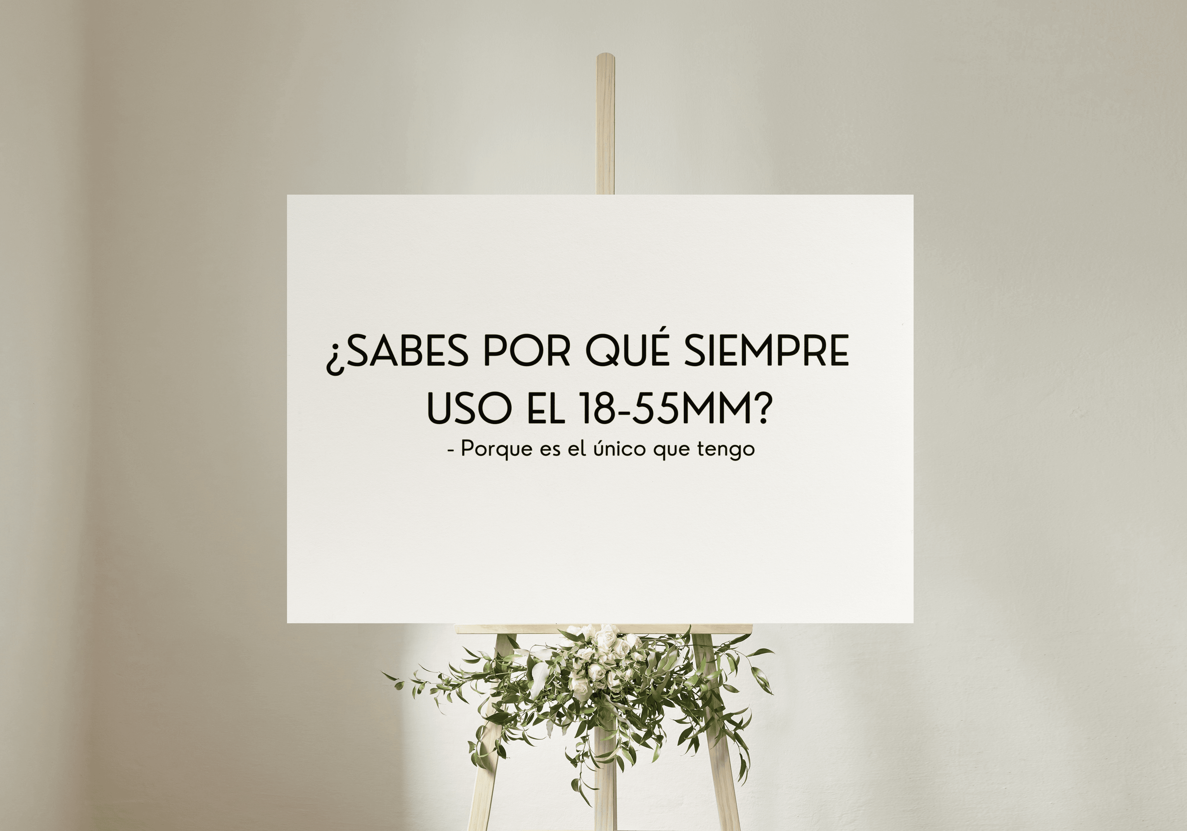 Camiseta Estampada Fotografia 4