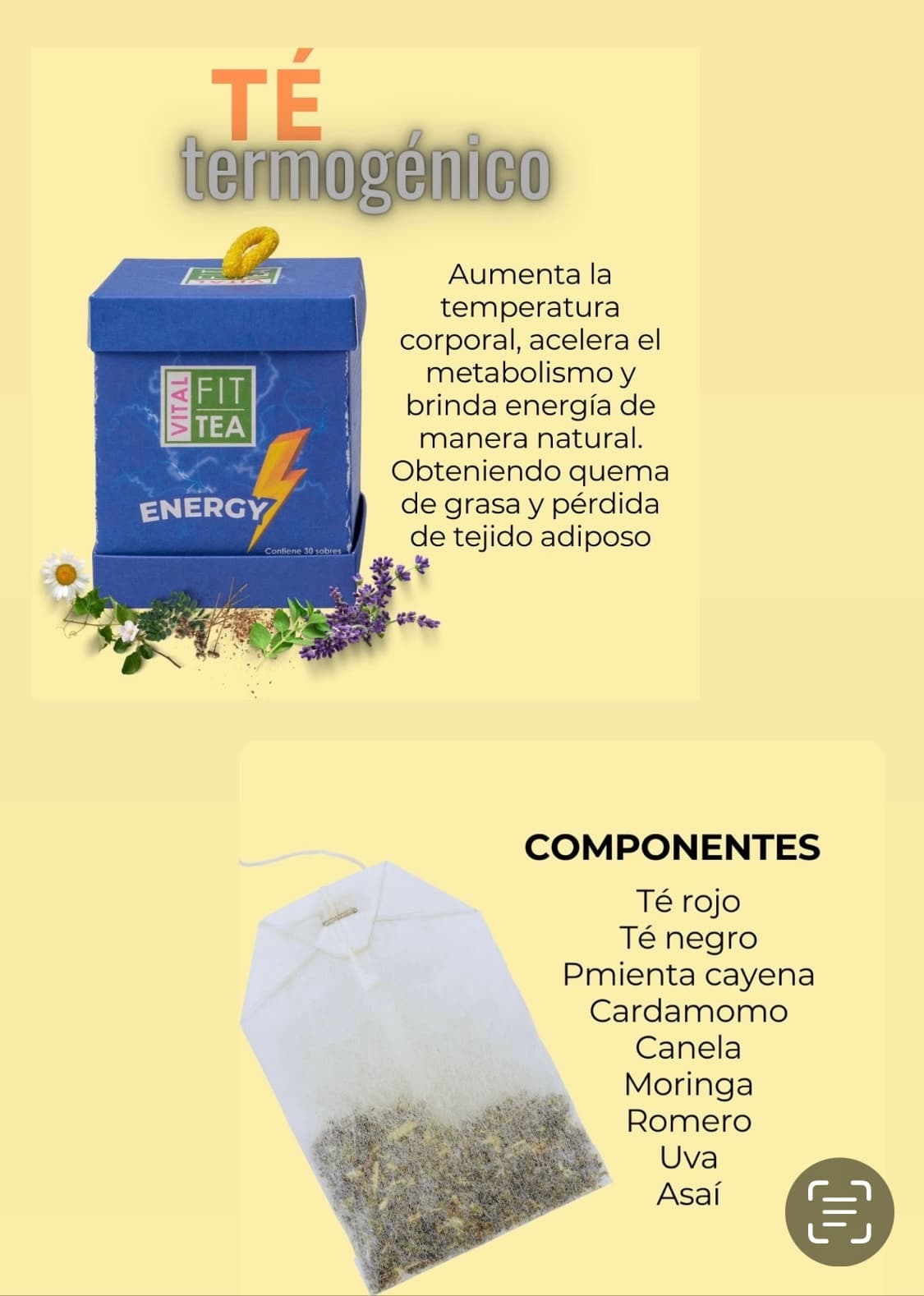 Te termogenico y para pérdida de peso