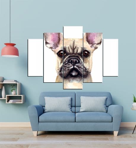 PERRO 54