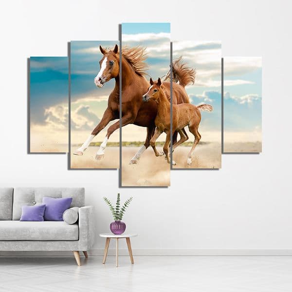 CABALLOS 71