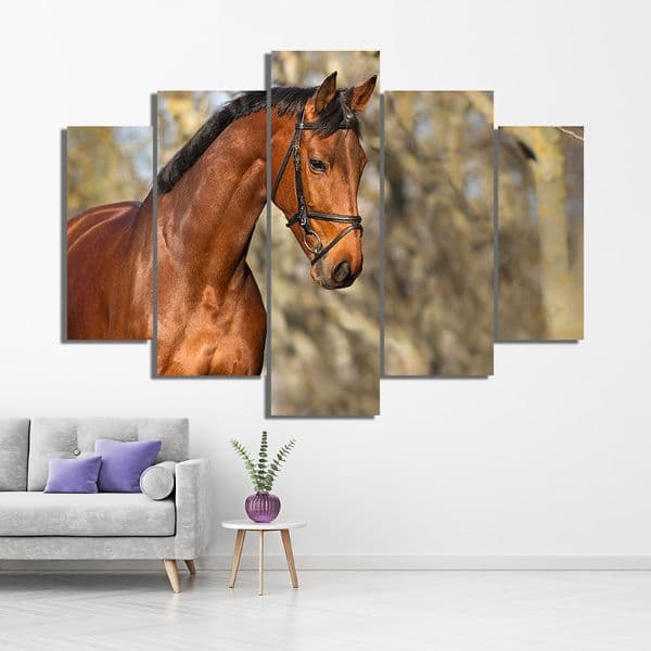 CABALLOS 87