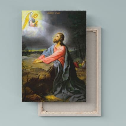 JESUS LIENZO 16