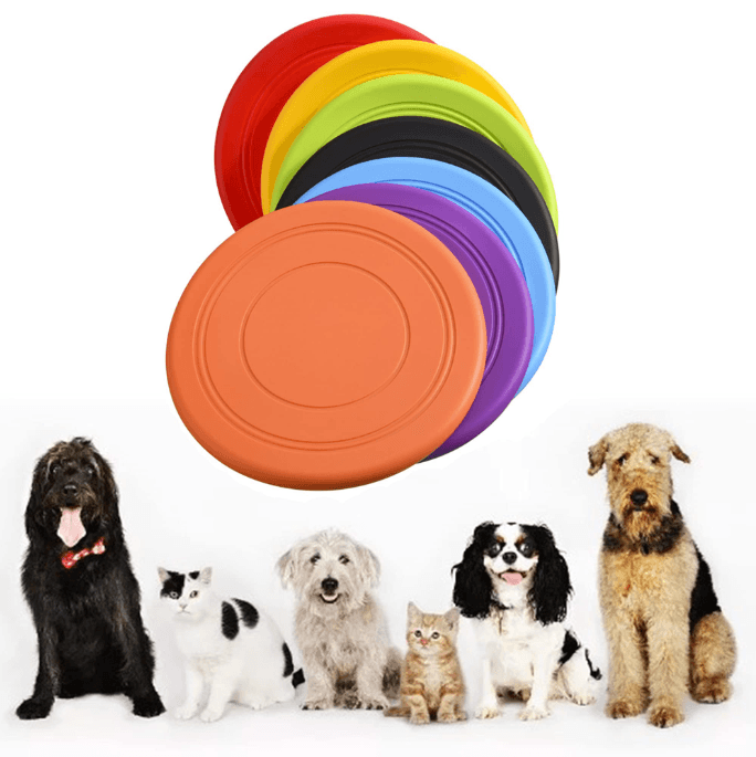 Juguete Frisbee 17 CM